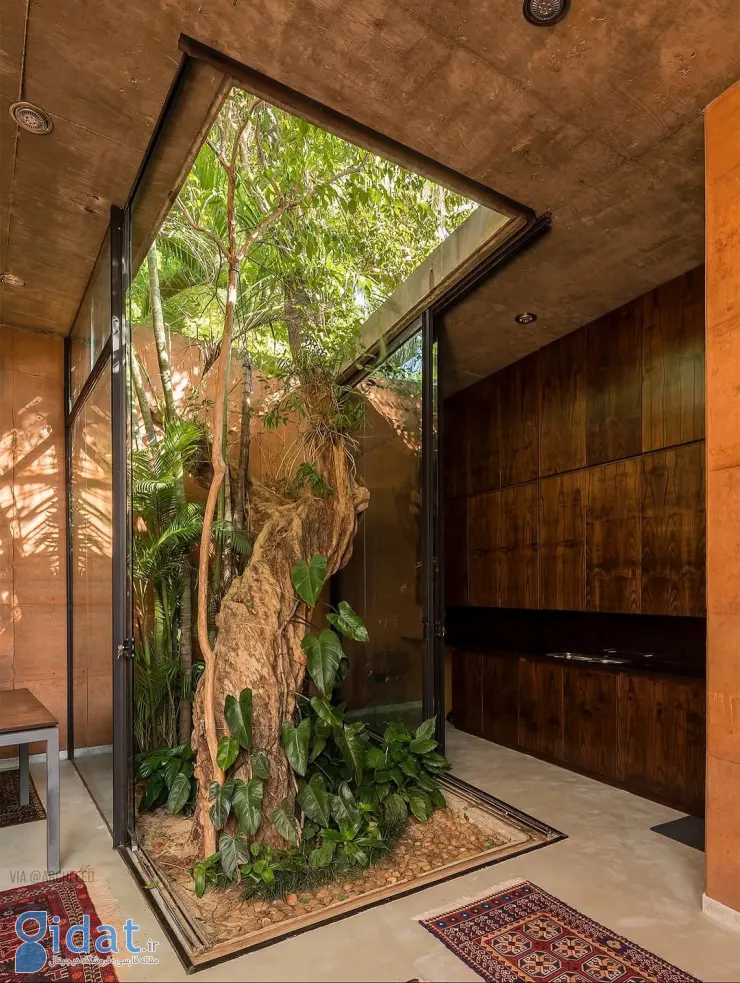 photo_2025-11-04_11-38-08 (3)